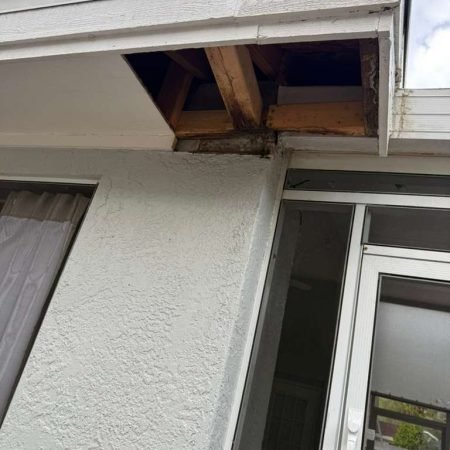 WhatsApp Image 2026-03-26 at 8.29.35 AM (1)